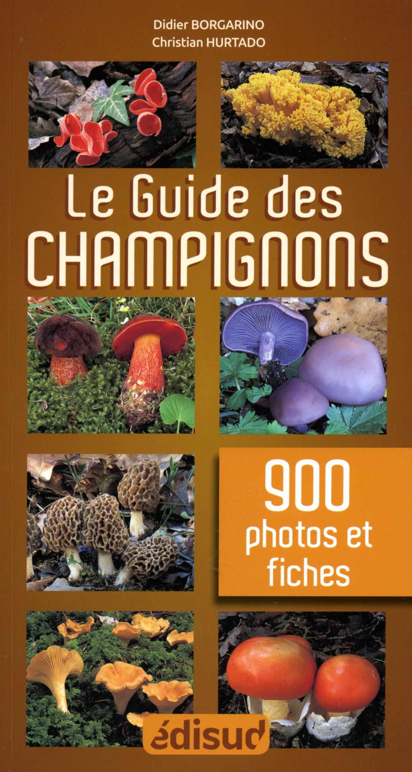 Champignons : plus de 300 espèces recensées dans un nouveau guide illustré